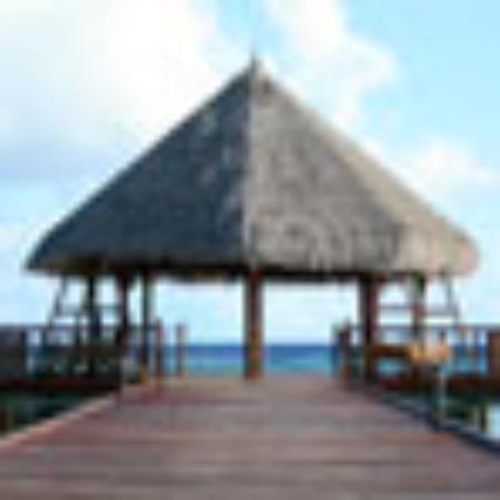 Memory Acoustic Dalat coffee